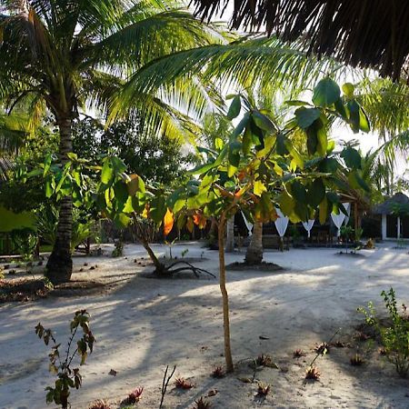 Dreams Of Mapacha Bed and Breakfast Michamvi Buitenkant foto