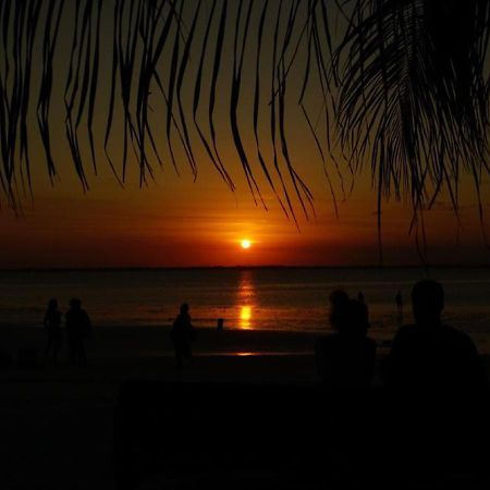 Dreams Of Mapacha Bed and Breakfast Michamvi Buitenkant foto