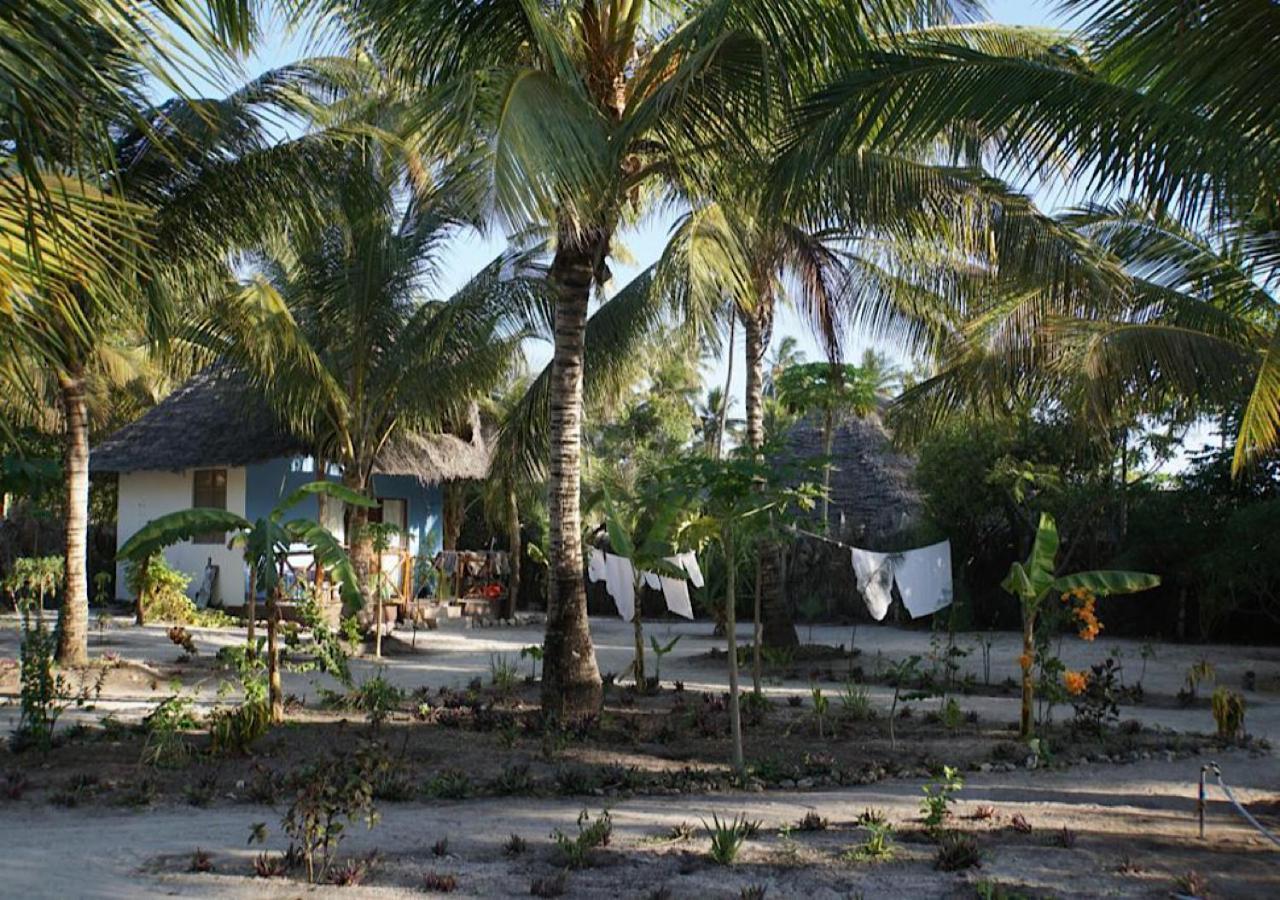 Dreams Of Mapacha Bed and Breakfast Michamvi Buitenkant foto