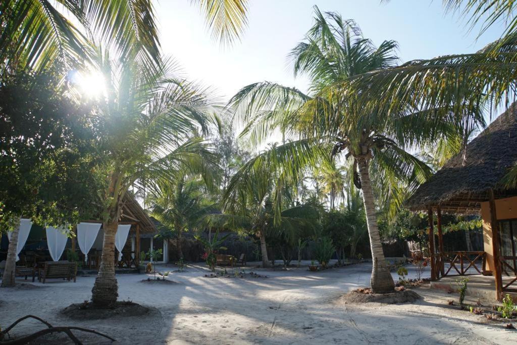 Dreams Of Mapacha Bed and Breakfast Michamvi Buitenkant foto