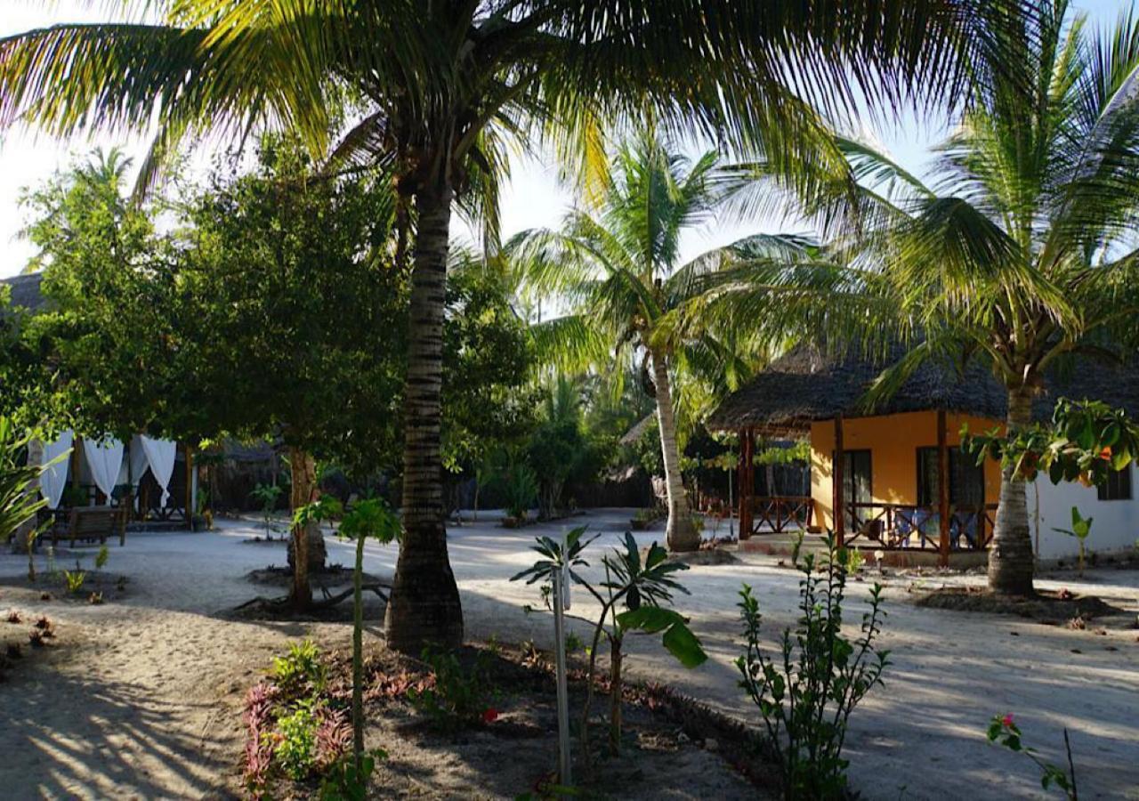Dreams Of Mapacha Bed and Breakfast Michamvi Buitenkant foto